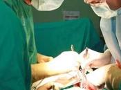 tasa donación órganos baja primera España diez años