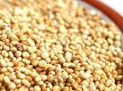 quinoa trata pseudocereal