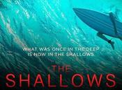Shallows
