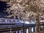 Venerdí Photosatriani