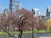 Boston: senda libertad