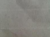 Asalto Parnaso Julio Pino: