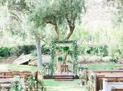 Decoración Boda. Madera Hojas Verdes.