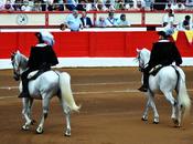 Tarde toros