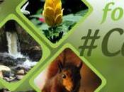 Concurso fotografía Calibio