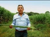 Apoya Jorge Borrero Gran Inventor, tala árboles
