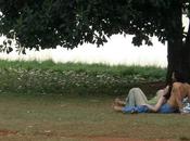 libros tengo pendientes leer este verano