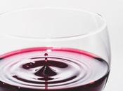 Todo sobre vino: Conceptos Parte