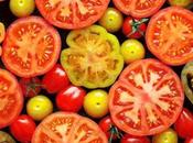 Diez cosas sabías sobre historia tomate
