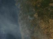 Incendios forestales Galicia, Portugal Madeira: Imagen satélite 12.08.2016