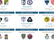 Programacion Television jornada futbol mexicano