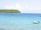 Reading process.........