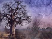 Venerdí Photosatriani