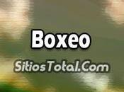 Final Boxeo Peso Súper Completo Masculino Vivo Juegos Olímpicos 2016 Domingo Agosto