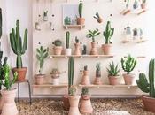 gusta decorar cactus suculentas? pierdas esta concept store