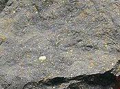Meteorito contiene miles compuestos orgánicos distintos