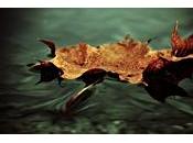 Efecto LOMO Photoshop, videotutorial
