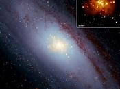 Estudio sugiere supernovas tipo mayoritariamente producidas fusiones enanas blancas