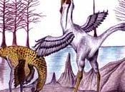 Paleoconcurso foro