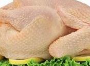 Cazadora, Ivan Dessau