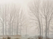 Nuevo libro sobre Humedales Aragón.