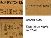 lenguas...
