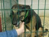 Lleva solo jaula nave....nadie interesado