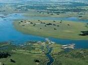Delta Okavango