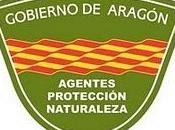 Agentes Protección Naturaleza (APNs) Gobierno Aragón, vigilantes nuestro patrimonio natural.