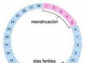 Nuevo test para mujeres menstruación abundante hemorragias