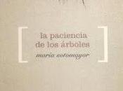 María Sotomayor: paciencia árboles (2):