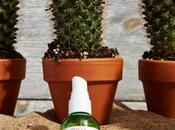 Probamos nueva bruma hidratante Kiehl´s cactus ginseng