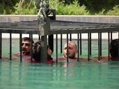 Mosul: Estado Islámico ahoga catorce personas ahogándolas piscina olímpica dispara cabeza otras doce.