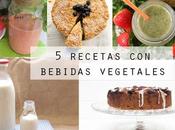 Recetas Bebidas Vegetales