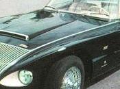 Jaguar Boano