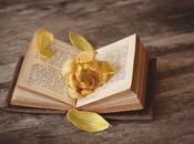 Llévate ejemplares gratis contratar nuestro Pack Premium