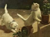 gatos persas blancos Arthur Heyer