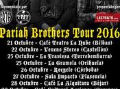 Crow black chicken España