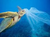 sencillos consejos para empezar vivir menos plásticos