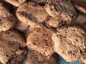 Galletas chocolate gluten thermomix