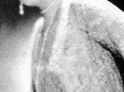 Teresa parra