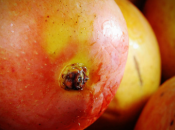 Terror hipermercado. Horror ultramarinos.