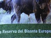 Cuarenta años después