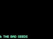Nick Cave Seeds need (2016)