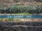 cole aventura @mensajeanoniman