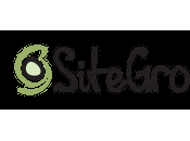 SiteGround Hosting