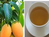 Médico japonés revela secretos hoja mango