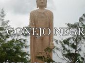 conejo negro -relatos cortos-