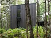 Casa Contemporanea Bosques Quebec