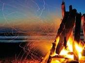 Navarro Bonfire